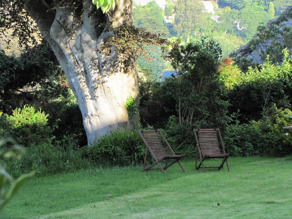 Bed and Breakfast Tregarth House Сент-Остел Экстерьер фото