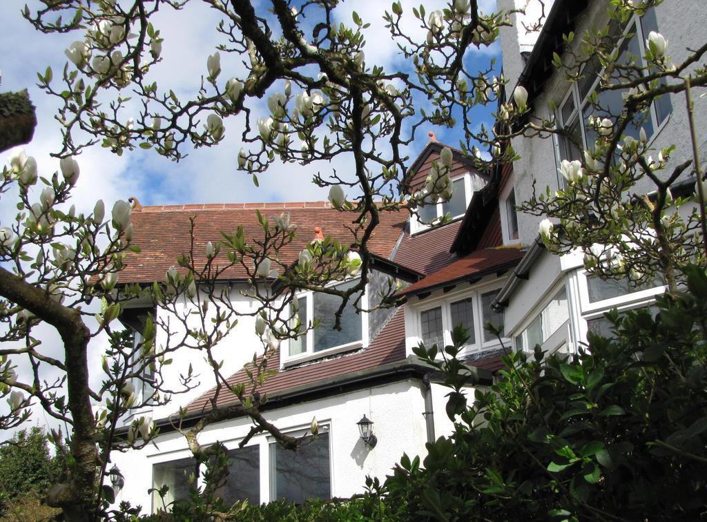 Bed and Breakfast Tregarth House Сент-Остел Экстерьер фото